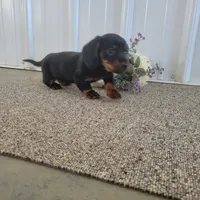 processed/0ff6b034-207c-4b7a-a1ca-4d2cb43e36a5/listing/e410674e-01a8-434d-bd2e-e2acadd946f9/2780d085-1cb3-4331-b0b3-e709828e1649