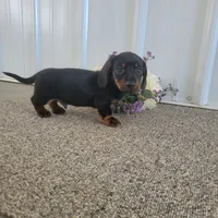 processed/0ff6b034-207c-4b7a-a1ca-4d2cb43e36a5/listing/e410674e-01a8-434d-bd2e-e2acadd946f9/6b6f0b31-a15f-4bc9-a116-de3139723a8f