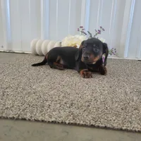 processed/0ff6b034-207c-4b7a-a1ca-4d2cb43e36a5/listing/e410674e-01a8-434d-bd2e-e2acadd946f9/d02ccd98-2b6a-449b-8400-1b699a45c874