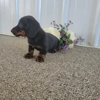 processed/0ff6b034-207c-4b7a-a1ca-4d2cb43e36a5/listing/e410674e-01a8-434d-bd2e-e2acadd946f9/ef4a68ea-c3c7-43c6-83b0-aa32964eed6c