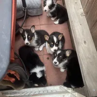 processed/0ff73476-a1e5-4898-9b0c-e92dfee7bfab/facility/4695f894-2c73-46b4-8d08-758a666e8a5e