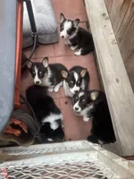 processed/0ff73476-a1e5-4898-9b0c-e92dfee7bfab/facility/4695f894-2c73-46b4-8d08-758a666e8a5e