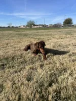 processed/100005bb-434e-4e99-b984-a759682cca13/facility/8a2ffe8d-e42e-46fa-ac58-2dece1d17a56