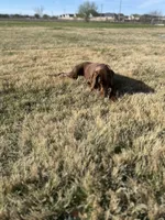 processed/100005bb-434e-4e99-b984-a759682cca13/facility/cf4b39a6-530a-4304-a25f-99df9130da95