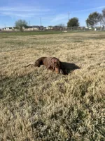 processed/100005bb-434e-4e99-b984-a759682cca13/facility/f3778746-39c7-40bc-95cc-3945244817e0