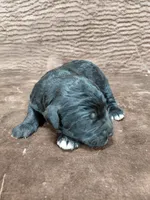 processed/10054ab0-12d1-4668-90f3-a4e67d95fca4/listing/6d1a8bd0-8abb-40fc-a5bb-6abf256183a3/1a26eafa-59a5-4d9f-a944-13fb2df898bc