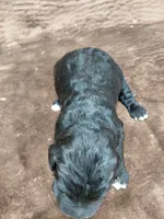 processed/10054ab0-12d1-4668-90f3-a4e67d95fca4/listing/6d1a8bd0-8abb-40fc-a5bb-6abf256183a3/2e2a4883-6e3a-482c-8ac1-f50b3bbf6abc