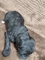 processed/10054ab0-12d1-4668-90f3-a4e67d95fca4/listing/6d1a8bd0-8abb-40fc-a5bb-6abf256183a3/7d9b11be-a86b-47cd-b709-0ef17dc9834a