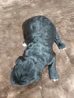 processed/10054ab0-12d1-4668-90f3-a4e67d95fca4/listing/6d1a8bd0-8abb-40fc-a5bb-6abf256183a3/aec858f3-7ff7-4df2-9764-e671842632ea