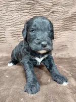 processed/10054ab0-12d1-4668-90f3-a4e67d95fca4/listing/6d1a8bd0-8abb-40fc-a5bb-6abf256183a3/c447de72-3c2e-486b-9612-562e46207bcf