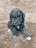 processed/10054ab0-12d1-4668-90f3-a4e67d95fca4/listing/922aa4bf-852d-4090-b367-a08de9b97b8a/0841c6df-850a-4547-a38d-08fd295b1b8a