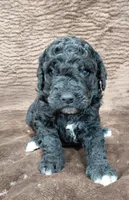 processed/10054ab0-12d1-4668-90f3-a4e67d95fca4/listing/922aa4bf-852d-4090-b367-a08de9b97b8a/21e7c6c4-9c52-463b-938e-786ffd084ceb