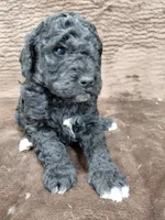 processed/10054ab0-12d1-4668-90f3-a4e67d95fca4/listing/922aa4bf-852d-4090-b367-a08de9b97b8a/2e68814e-e5e8-4fa0-9932-43ad2d0ca37d