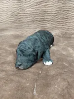 processed/10054ab0-12d1-4668-90f3-a4e67d95fca4/listing/922aa4bf-852d-4090-b367-a08de9b97b8a/45b8667a-8d35-4855-afdf-e82c502f907d