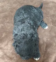 processed/10054ab0-12d1-4668-90f3-a4e67d95fca4/listing/922aa4bf-852d-4090-b367-a08de9b97b8a/923bdddb-aa24-4679-8f22-dfe1ed6cd9ce