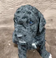 processed/10054ab0-12d1-4668-90f3-a4e67d95fca4/listing/922aa4bf-852d-4090-b367-a08de9b97b8a/f373a681-a574-4b18-b5a4-69830c7bfa85