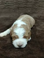 processed/10054ab0-12d1-4668-90f3-a4e67d95fca4/listing/a0d05562-9579-4740-983e-401d7162e1e8/059b65fe-4c6f-432b-8b73-38ce34e12ded