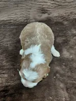 processed/10054ab0-12d1-4668-90f3-a4e67d95fca4/listing/a0d05562-9579-4740-983e-401d7162e1e8/0fa46c27-c67e-4c74-8bbe-7751bf0bf0f8