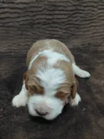 processed/10054ab0-12d1-4668-90f3-a4e67d95fca4/listing/a0d05562-9579-4740-983e-401d7162e1e8/10003c89-b72d-4eb6-8c06-1044dc5cafcc