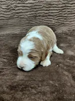 processed/10054ab0-12d1-4668-90f3-a4e67d95fca4/listing/a0d05562-9579-4740-983e-401d7162e1e8/3b00d1c8-e860-4159-bb09-f33e164c9b13