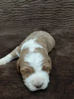 processed/10054ab0-12d1-4668-90f3-a4e67d95fca4/listing/a0d05562-9579-4740-983e-401d7162e1e8/da7e7bd1-9184-4b77-9c21-267a42186d09