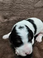 processed/10054ab0-12d1-4668-90f3-a4e67d95fca4/listing/a9b6d0d1-6fcd-48ea-be1a-18d0060e782d/089de053-a4b0-45de-b9f7-dfc746d9eca4