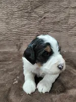 processed/10054ab0-12d1-4668-90f3-a4e67d95fca4/listing/a9b6d0d1-6fcd-48ea-be1a-18d0060e782d/1410b94c-bdd2-426b-9bdd-ef0242c2bed9