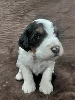 processed/10054ab0-12d1-4668-90f3-a4e67d95fca4/listing/a9b6d0d1-6fcd-48ea-be1a-18d0060e782d/3fee3bc7-6733-4f58-977a-b61c1447475f