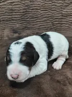 processed/10054ab0-12d1-4668-90f3-a4e67d95fca4/listing/a9b6d0d1-6fcd-48ea-be1a-18d0060e782d/5991fec8-db00-44ef-b05d-963ba2566e77