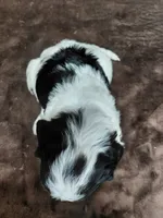 processed/10054ab0-12d1-4668-90f3-a4e67d95fca4/listing/a9b6d0d1-6fcd-48ea-be1a-18d0060e782d/63687102-4009-4b73-9764-684f2668af8e