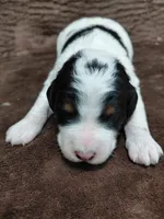 processed/10054ab0-12d1-4668-90f3-a4e67d95fca4/listing/a9b6d0d1-6fcd-48ea-be1a-18d0060e782d/df31c8b0-6f99-4c27-800c-70fedd72955b