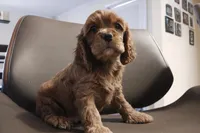 processed/1008759c-4a1f-4694-a66a-c0b66afe717a/listing/6cfdbec5-7dee-43ea-a5b2-c2ec6b28eb26/82978120-4269-4755-b0d3-7eb5255068e5