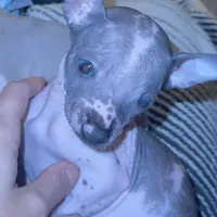 processed/100d6413-5d0d-4859-a67d-1985350c4008/facility/06a628ae-96a1-4a24-8803-f681521971bc