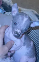 processed/100d6413-5d0d-4859-a67d-1985350c4008/facility/06a628ae-96a1-4a24-8803-f681521971bc