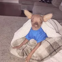 processed/100d6413-5d0d-4859-a67d-1985350c4008/facility/10e58cb4-bb6b-4ab8-9141-f1a4719fca77