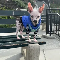 processed/100d6413-5d0d-4859-a67d-1985350c4008/facility/110c7137-a716-49b6-97ff-d77f6da28681