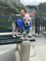 processed/100d6413-5d0d-4859-a67d-1985350c4008/facility/110c7137-a716-49b6-97ff-d77f6da28681