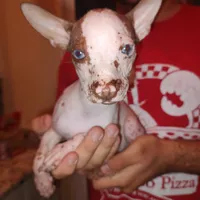 processed/100d6413-5d0d-4859-a67d-1985350c4008/facility/24927e8c-4e7a-4570-99e4-0fc7fabdd3de