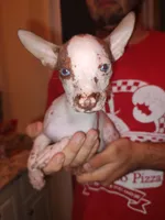 processed/100d6413-5d0d-4859-a67d-1985350c4008/facility/24927e8c-4e7a-4570-99e4-0fc7fabdd3de