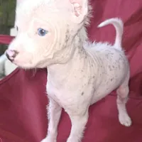 processed/100d6413-5d0d-4859-a67d-1985350c4008/facility/26c22bc8-e3fd-40ef-a785-e67cecfe0729