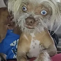 processed/100d6413-5d0d-4859-a67d-1985350c4008/facility/3c8d0eeb-47e3-4efc-8600-1f16897b2165