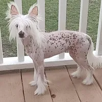 processed/100d6413-5d0d-4859-a67d-1985350c4008/facility/b41af81d-7af3-4ebb-90e7-adca4380da73