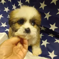 processed/1016e4e6-3d20-4c5c-9f88-32ba57df9402/facility/99c6d65e-c5e9-4c56-8948-fbaac8277f7d