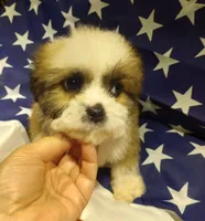 processed/1016e4e6-3d20-4c5c-9f88-32ba57df9402/facility/99c6d65e-c5e9-4c56-8948-fbaac8277f7d