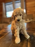 processed/1017e9d7-a646-492a-a2cf-147b470ed8df/listing/04659fa8-2174-4cb7-a6dd-daf4c0d74b09/736c29cb-f02a-407c-a154-b731da5097d0