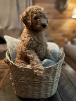 processed/1017e9d7-a646-492a-a2cf-147b470ed8df/listing/34df9a4e-15ba-43b7-928e-86bc83affdae/03fb5387-dc36-4bd8-b7f0-d753fb0888f2