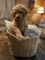 processed/1017e9d7-a646-492a-a2cf-147b470ed8df/listing/34df9a4e-15ba-43b7-928e-86bc83affdae/658f8654-b970-49cc-b456-08ceb1cd3a6e