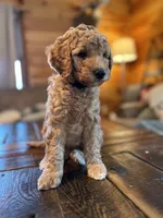 processed/1017e9d7-a646-492a-a2cf-147b470ed8df/listing/34df9a4e-15ba-43b7-928e-86bc83affdae/c9a9f786-c8af-4de3-9a44-7ef1e9f86ddb