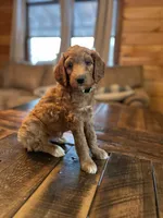 processed/1017e9d7-a646-492a-a2cf-147b470ed8df/listing/5c9af264-bdbd-45a3-83a7-e2bc790334bb/1217c013-f06f-4efc-9ad2-cdf748e0cf85