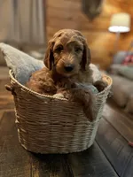 processed/1017e9d7-a646-492a-a2cf-147b470ed8df/listing/5c9af264-bdbd-45a3-83a7-e2bc790334bb/550846ce-7aba-45c3-bd18-6f1d2463d6c5